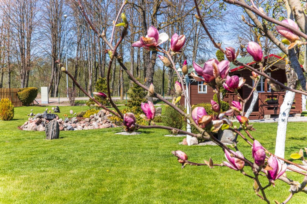 Zaliasis Kampas Nameliai Sventojoje Villa Šventoji Kültér fotó